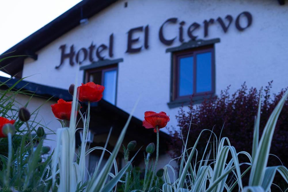 Hotel El Ciervo Villarrica Eksteriør bilde