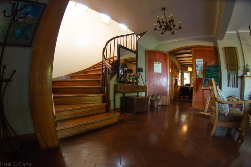 Hotel El Ciervo Villarrica Eksteriør bilde