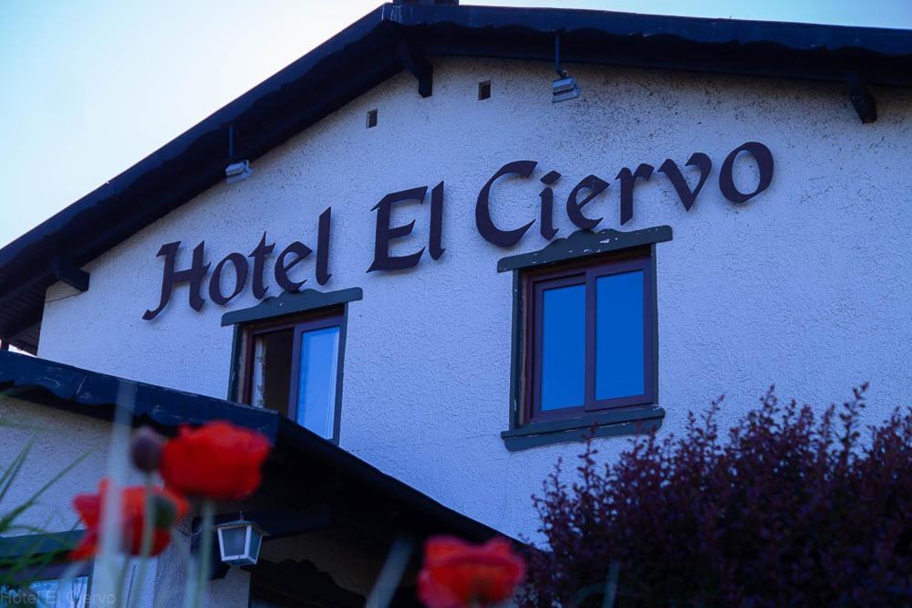 Hotel El Ciervo Villarrica Eksteriør bilde