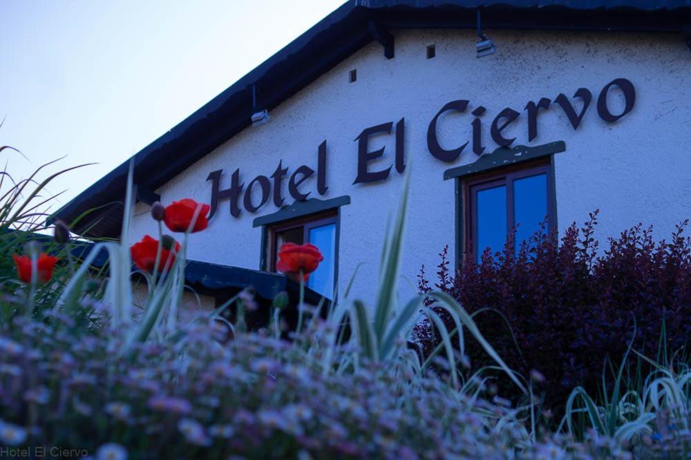 Hotel El Ciervo Villarrica Eksteriør bilde